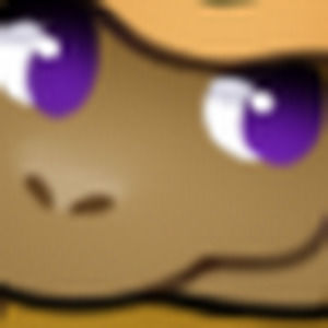 Meet your Posher, Bethann